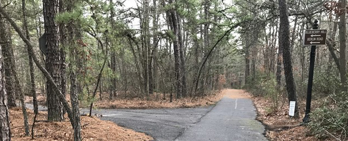 Gibbsboro-tree-removal