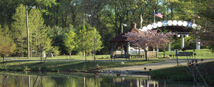 Washington-twp-tree-removal