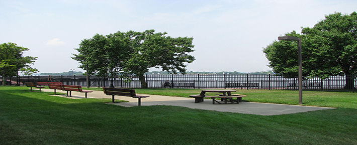 paulsboro-tree-removal