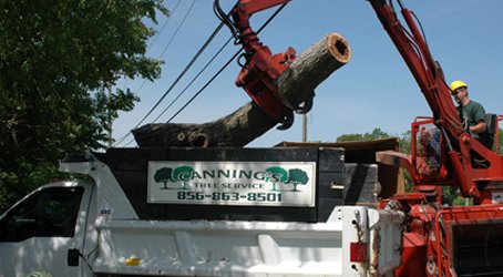 Tree Service Truck