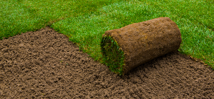 sod-installation